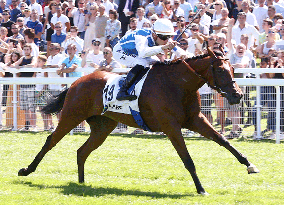 Oasis Dream's Polydream Prevails in the Maurice de Gheest