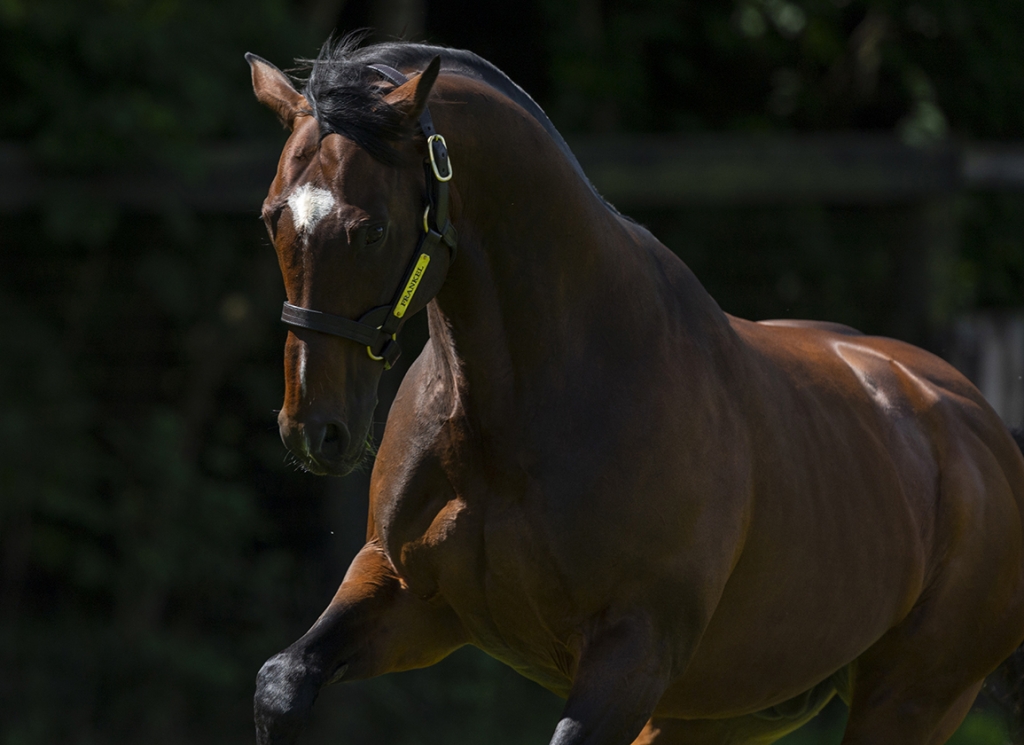 Frankel