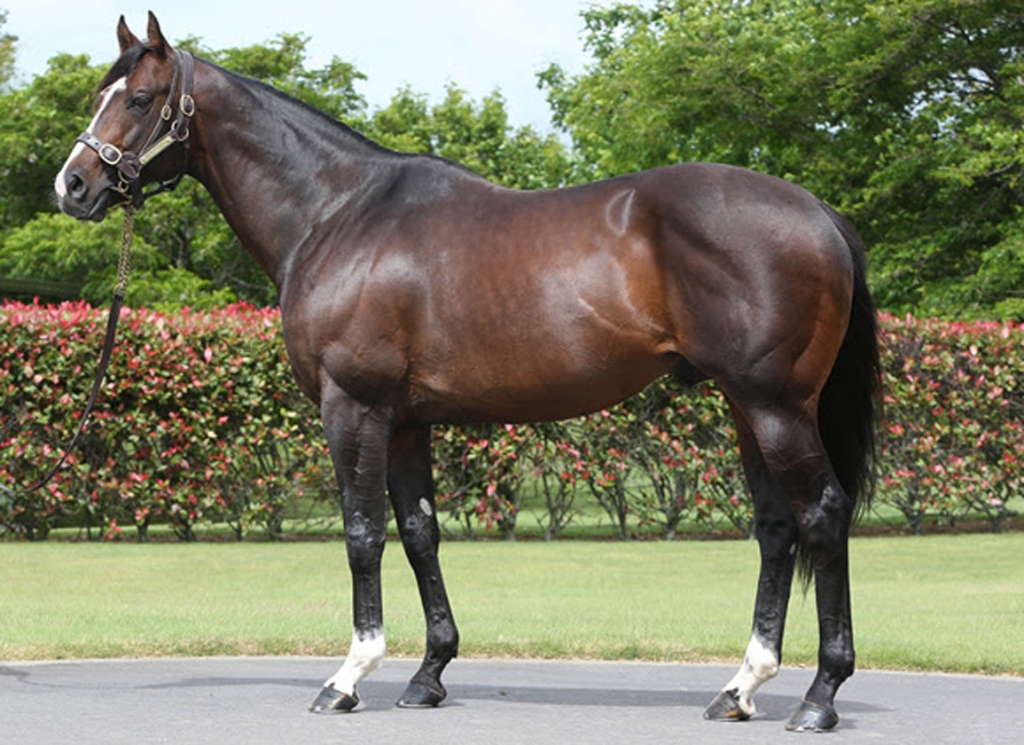 Whitsbury Manor Stud's Sire Showcasing