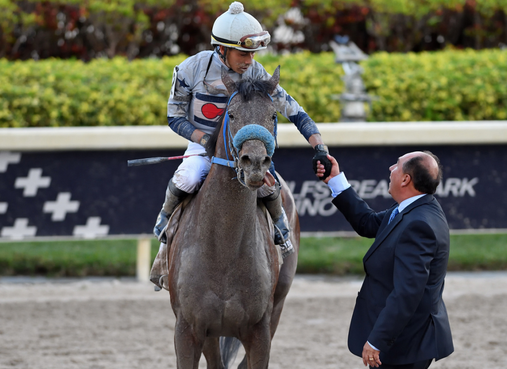 Simplification wins 2022 Fountain of Youth Stakes
