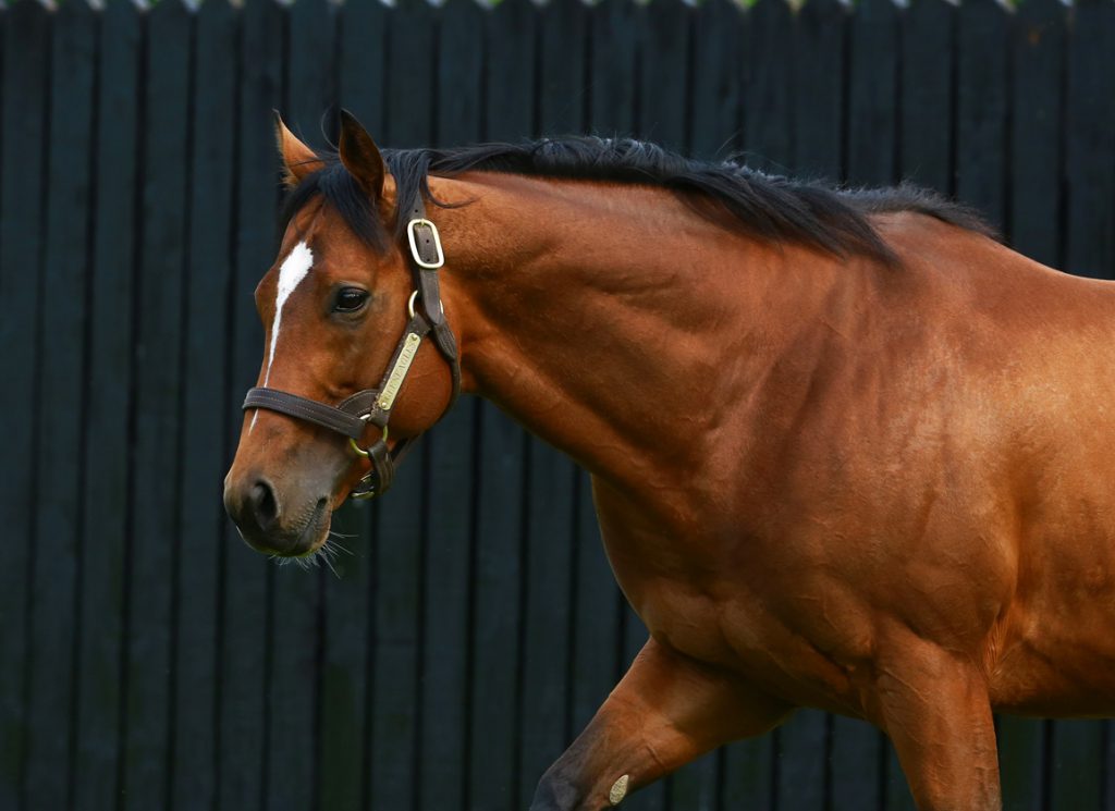 The sire Gleneagles