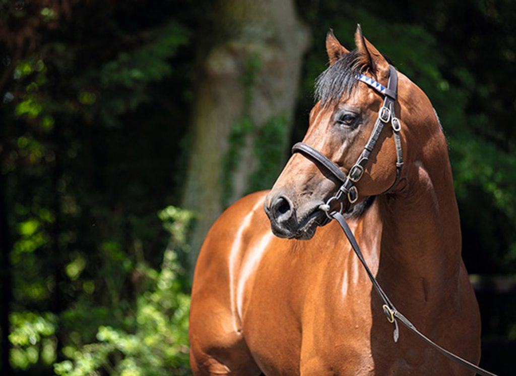 The sire Territories