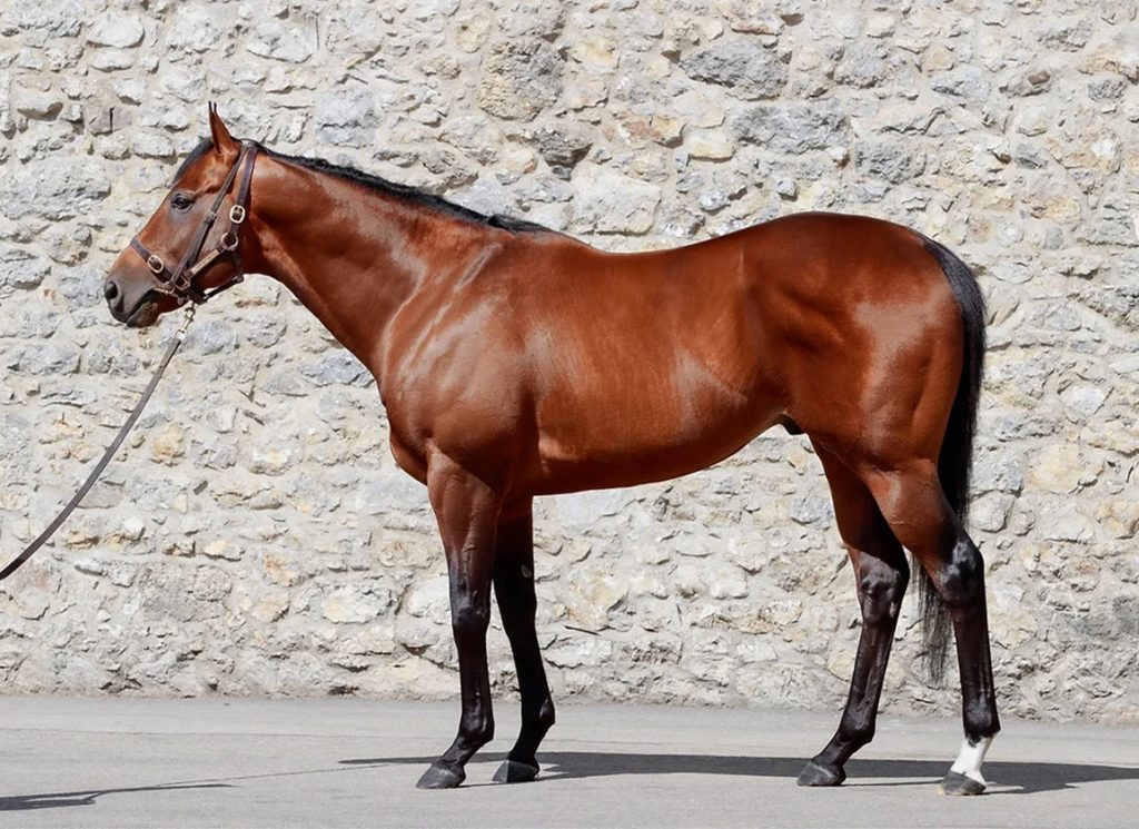 The Sire Starman