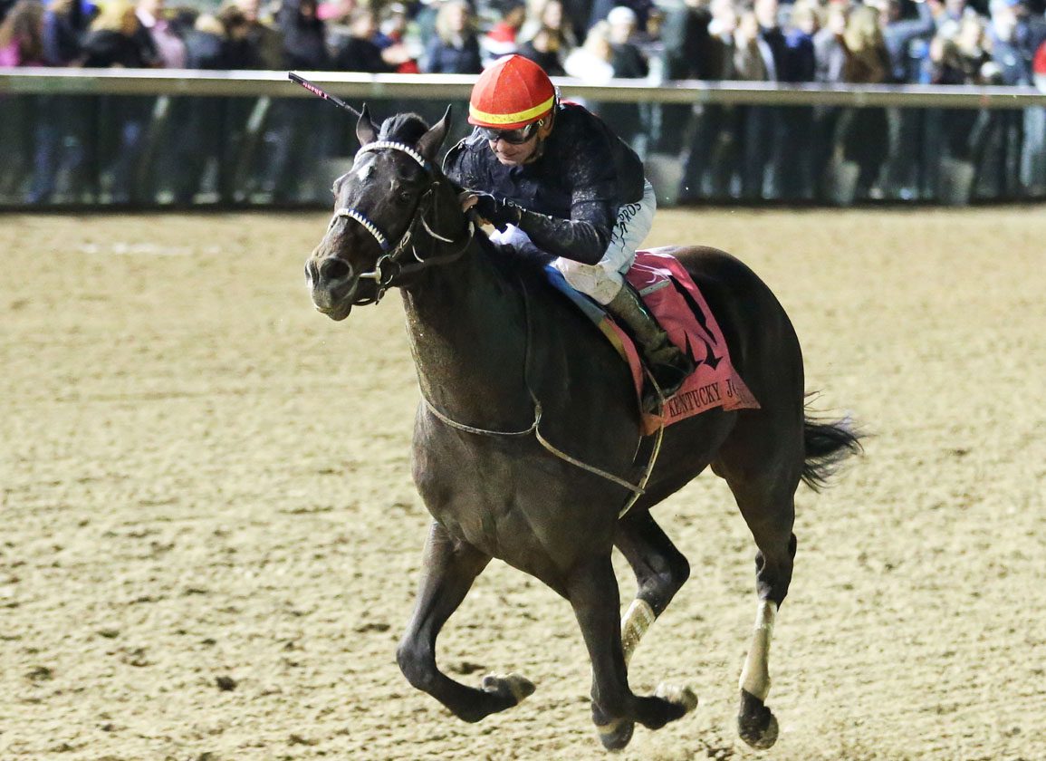 2025 Equine Injury Metrics Show Lowest Rate of Fatal Injury Since 2009