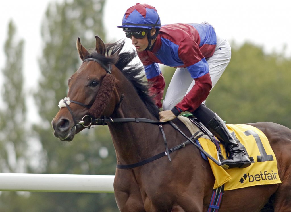 Starfield Stud's sire Dubawi Legend