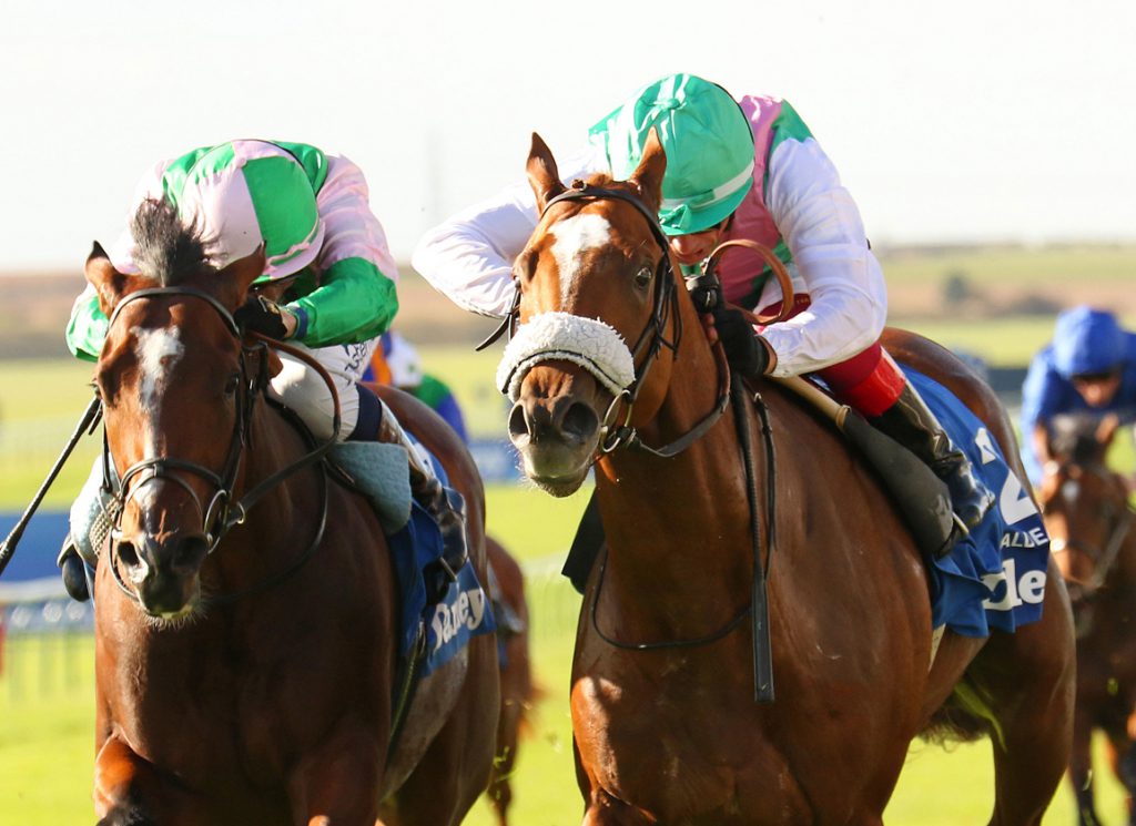 Chaldean winning the Dewhurst