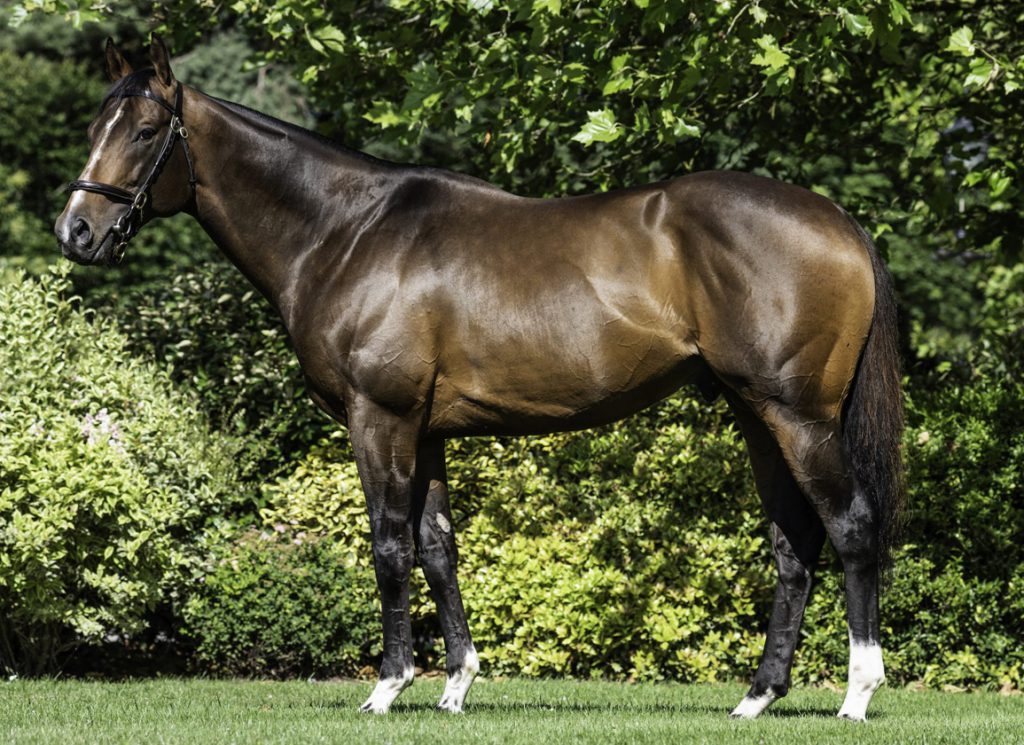 The sire Tasleet