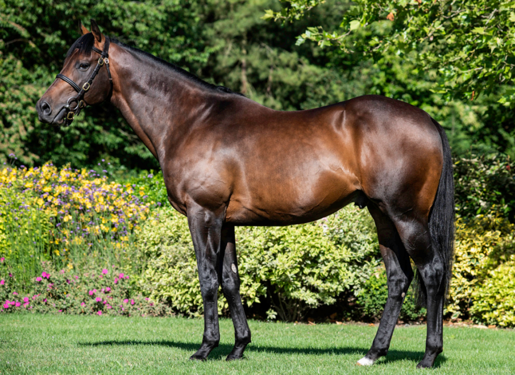 The sire Muhaarar