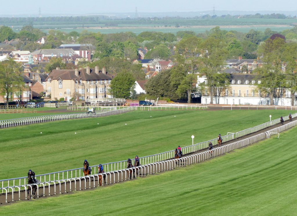 Warren Hill