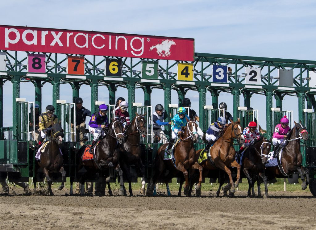 Thoroughbred racing at Philadelphia racetrack
