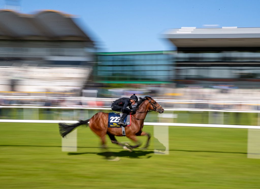 Fairyhouse