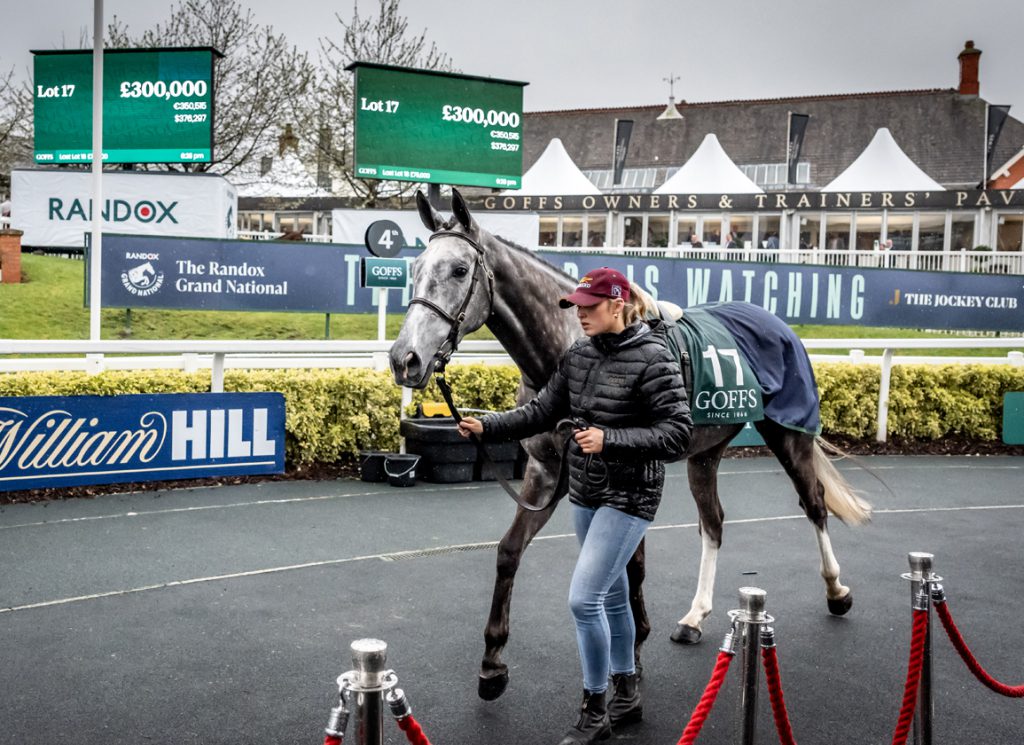 The Aintree winners' enclosure where the sale takes place each year