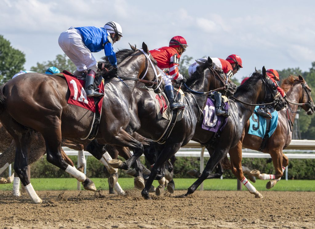 horses racing at Saratoga