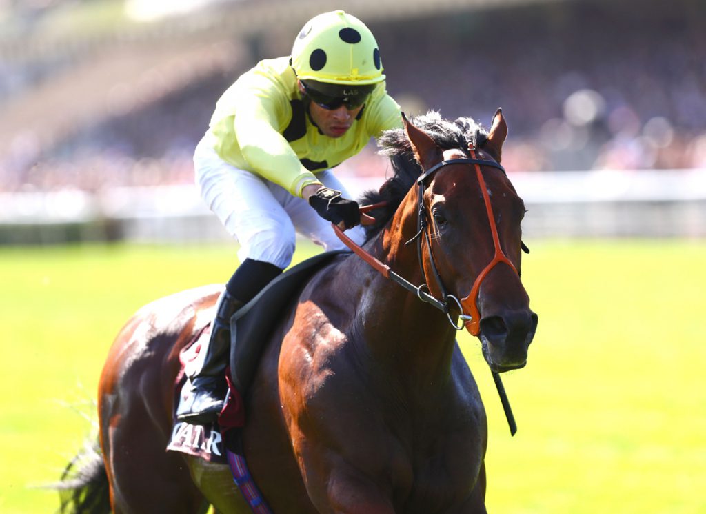 The three-time Group 1 winner Rosallion