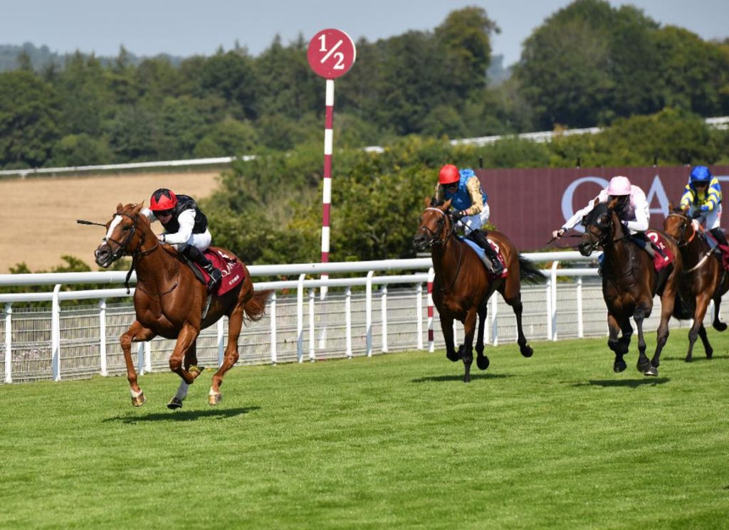 Goodwood Racecourse