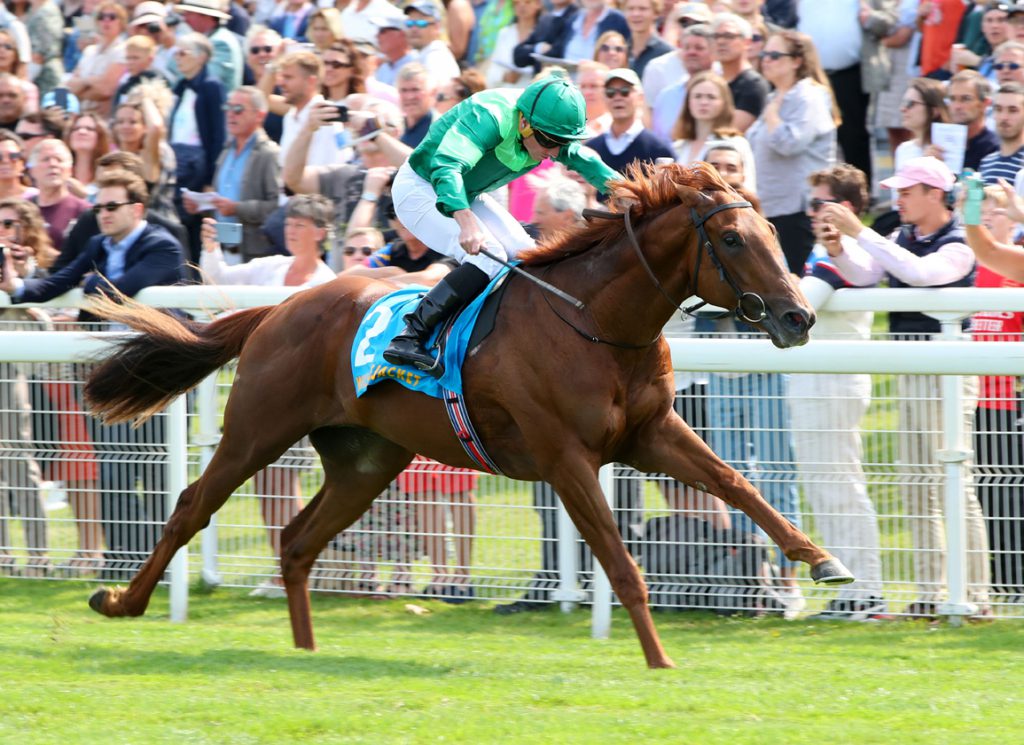 Whistlejacket