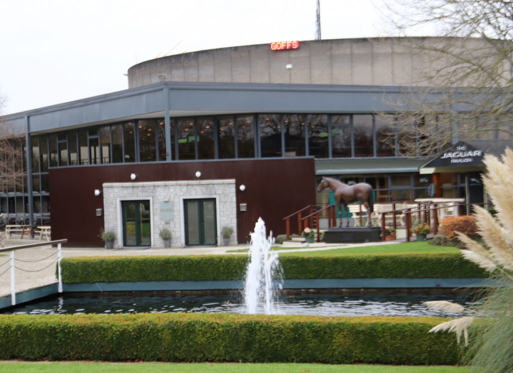 Goffs Sale Pavilion