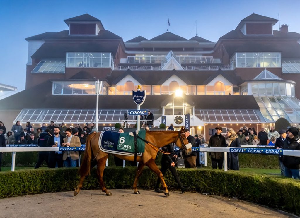 Goffs Coral Gold Cup Sale