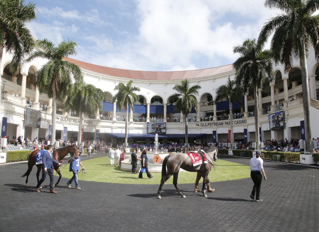 Paddock at Gulfstream Park