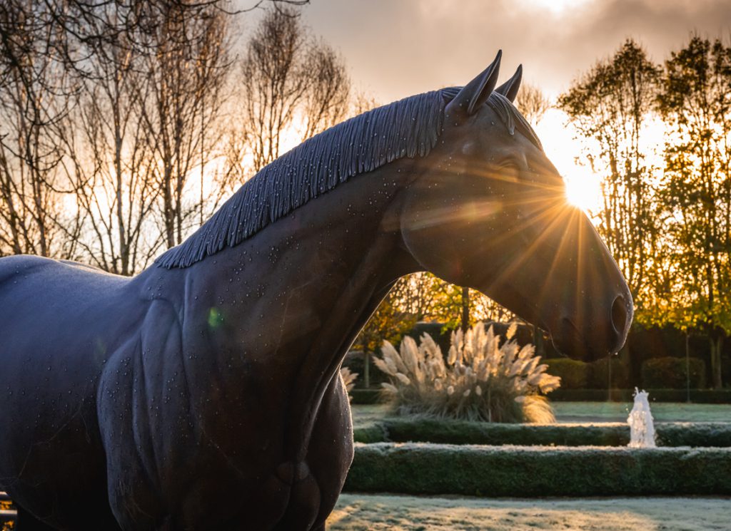 Goffs February Sale scenic
