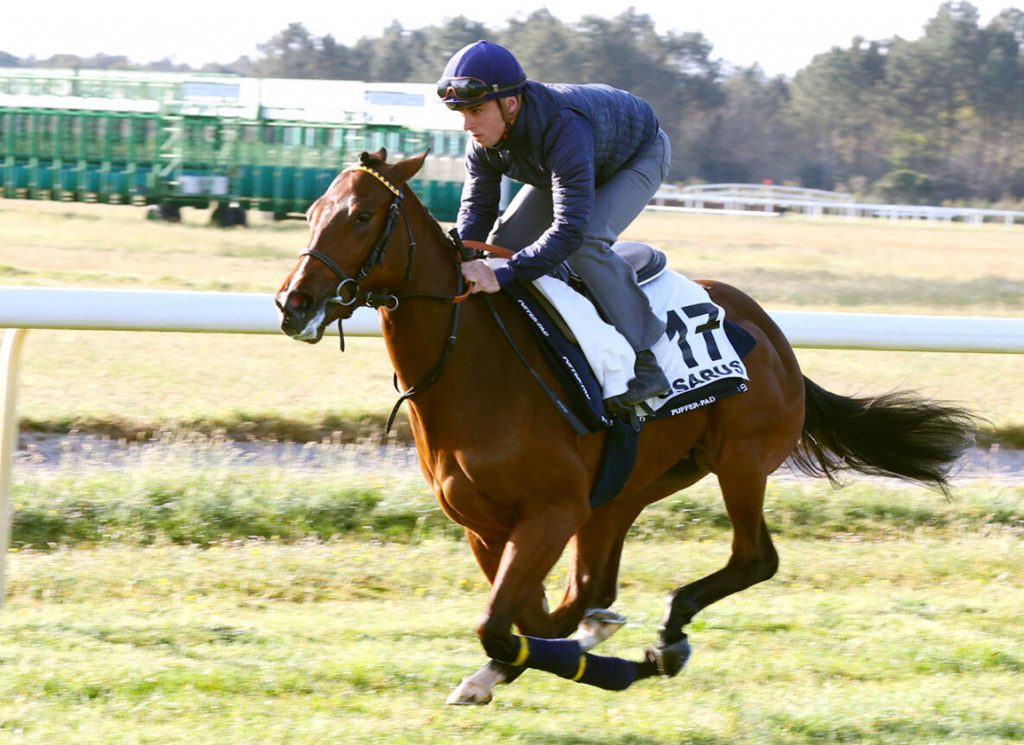Osarus breezer at La Teste