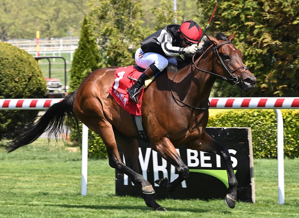 Bellezza in the Sheepshead Bay | Coglianese