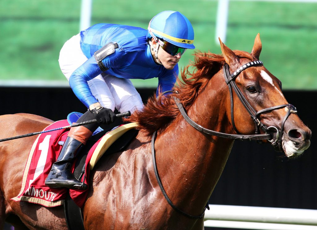 Tom's Magic took the Tale of the Cat Stakes at Monmouth in style for CJ Thoroughbreds