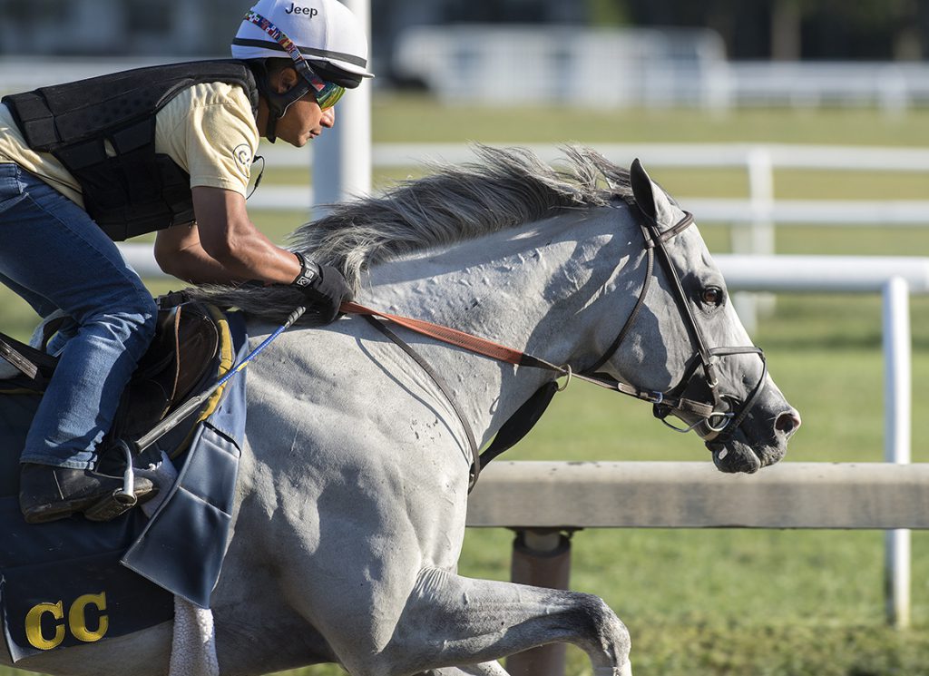 Disco Partner training at Saratoga in 2019
