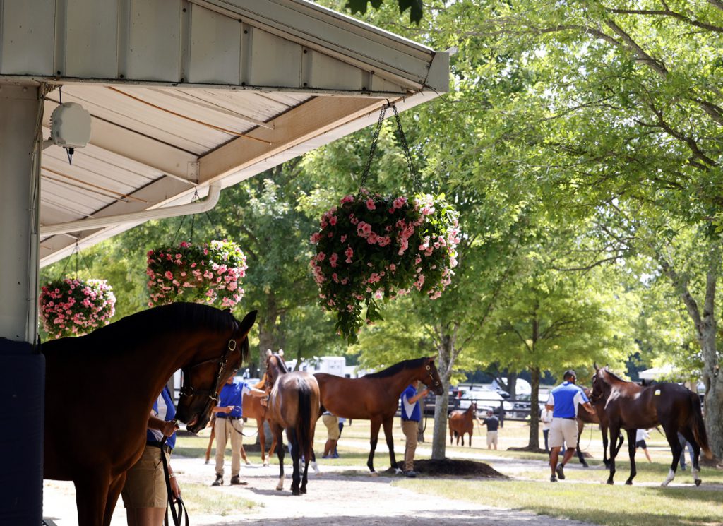 A view of the Fasig-Tipton campus during the July sale last year