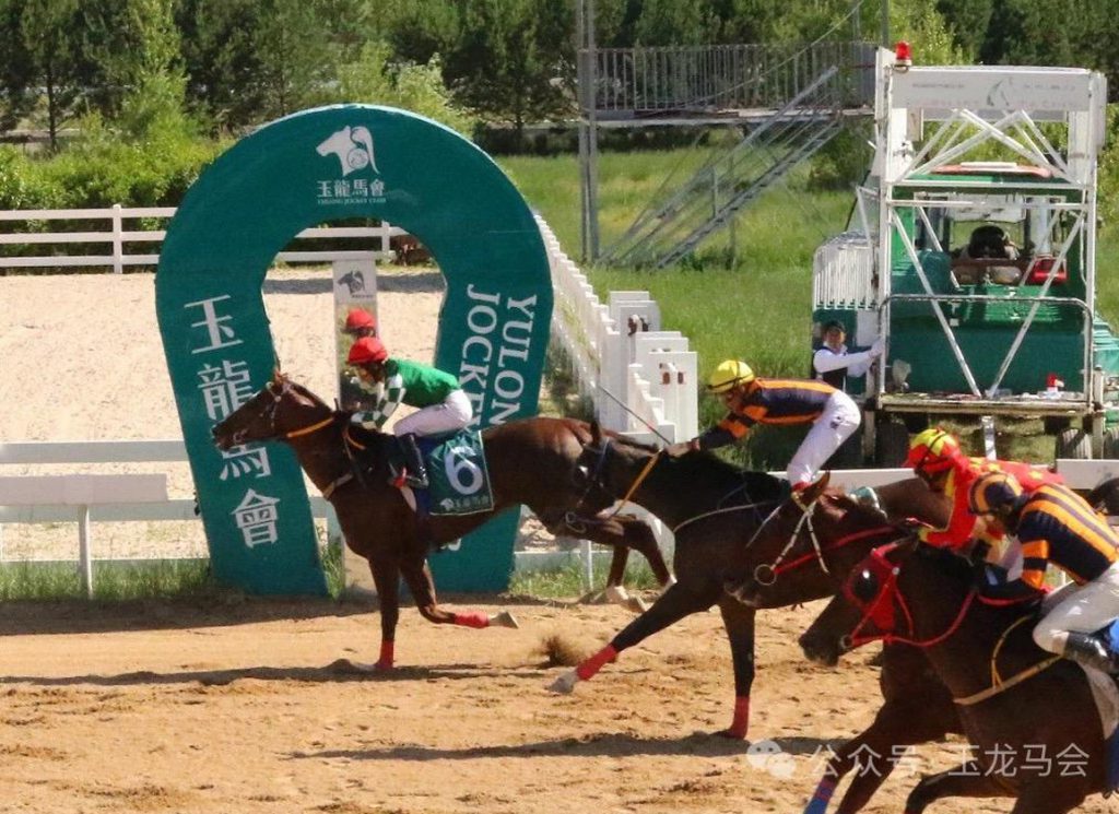 Chilean Horse of the Year Fortino wins in China