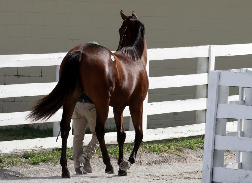 Keeneland sales grounds