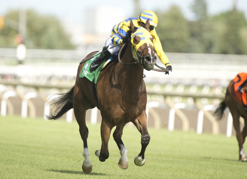 Patches O'Houlihan in Highlander at Woodbine