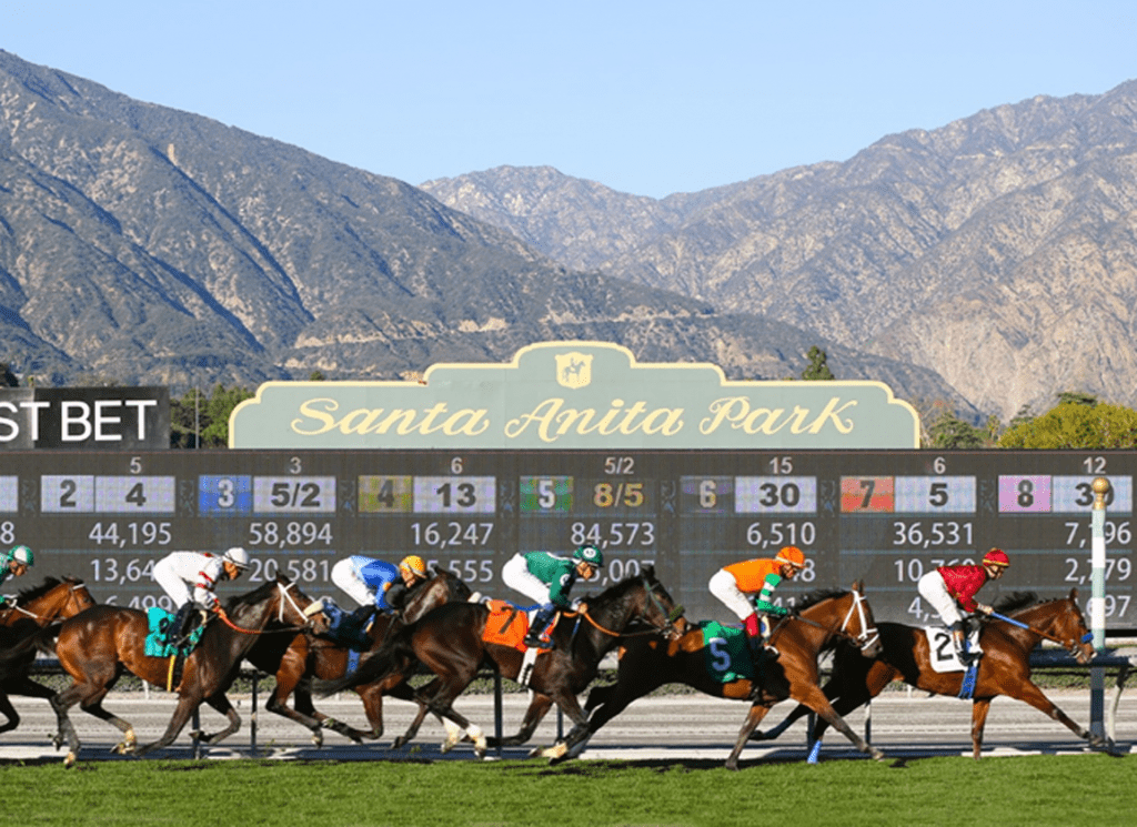 The turf course at Santa Anita is named Camino Real and it is getting a full renovation which happens every year.