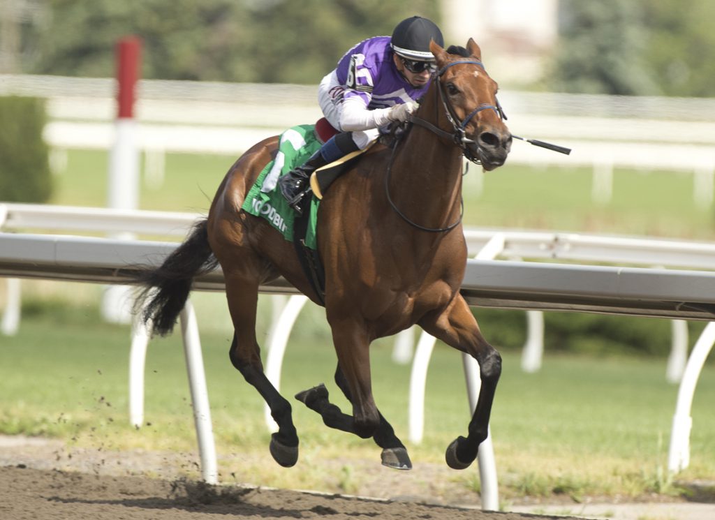 Serendipity cruised to win the GIII Selene Stakes at Woodbine