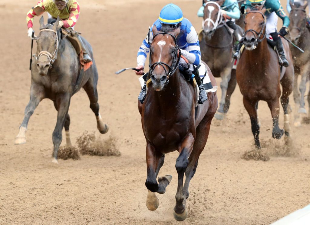 The well-bred Taylor's Version breaks his maiden at Churchill Downs