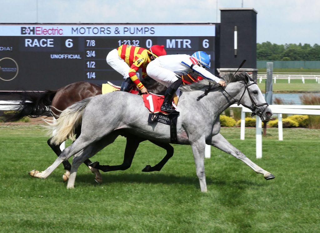 Knicks Go's Ziggity Zag becomes the sire's first career winner