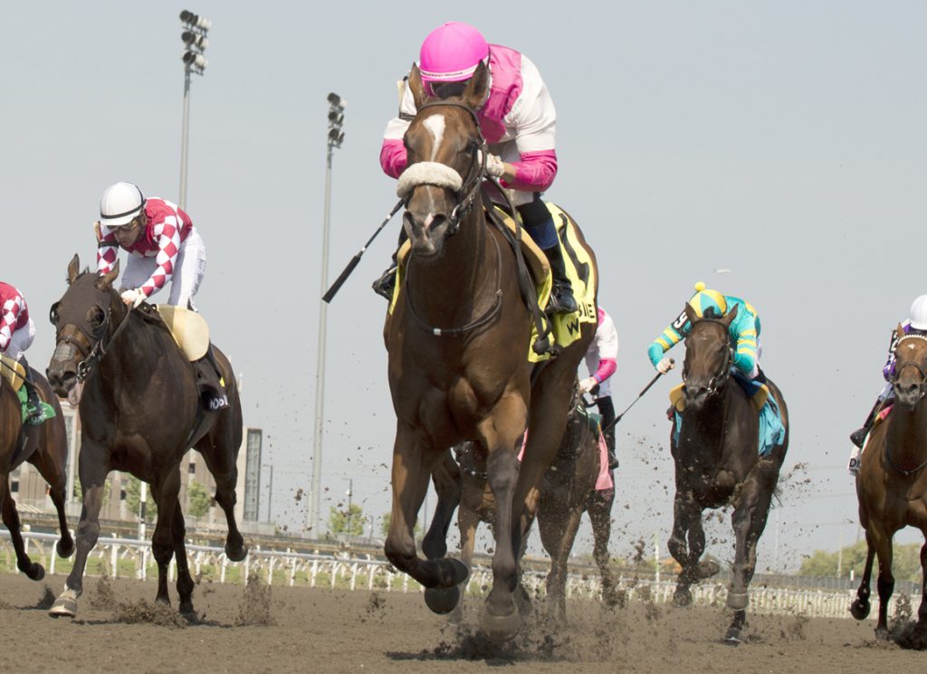 Border Czar at Woodbine