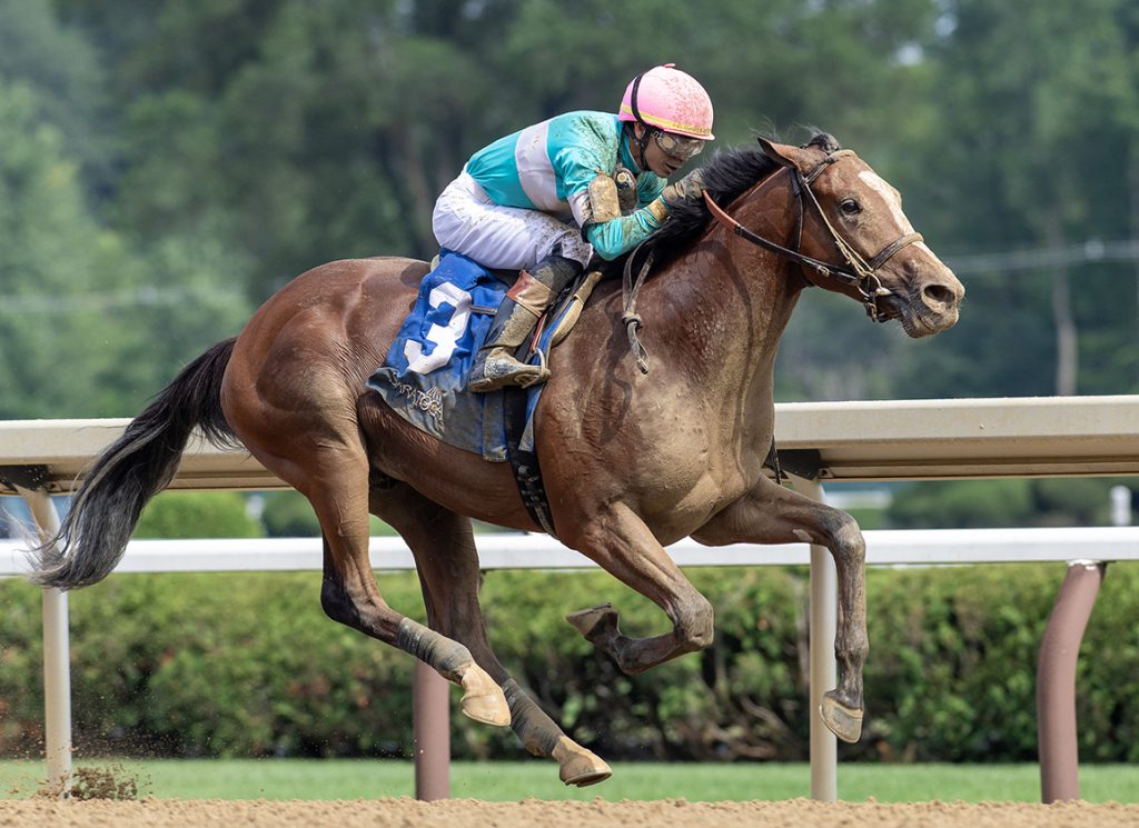 Dr Agne at Saratoga