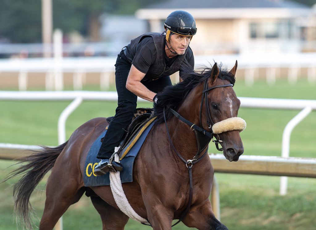 Saratoga graded stakes contender Far Bridge