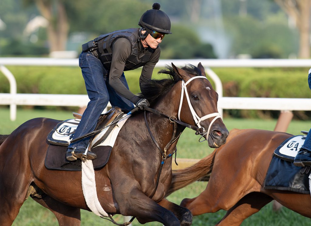 Fierceness works at Saratoga