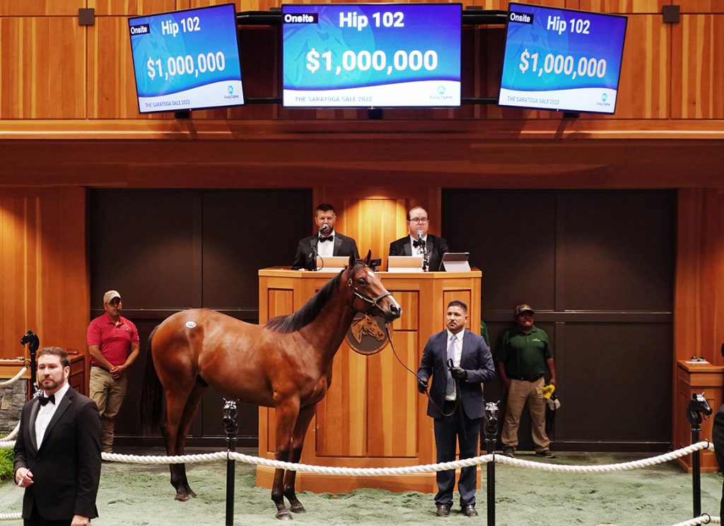 Rebellious Type sells at Saratoga
