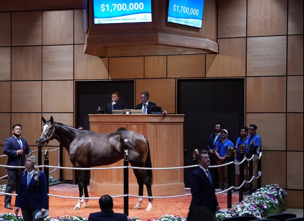 Paramount Sales and Mahmud Mouni at Fasig-Tipton
