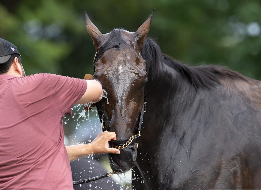 Immersive takes a bath