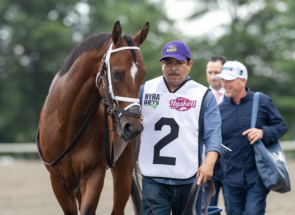 Journalism heads to track before winning Haskell Stakes