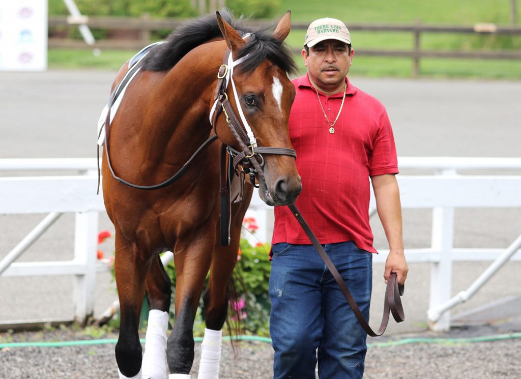 Journalism at Monmouth Park