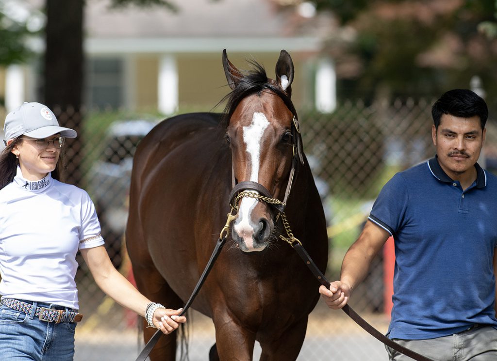 Make Haste schools at Saratoga