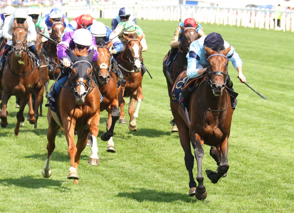 Merchant winning the Gordon at Goodwood