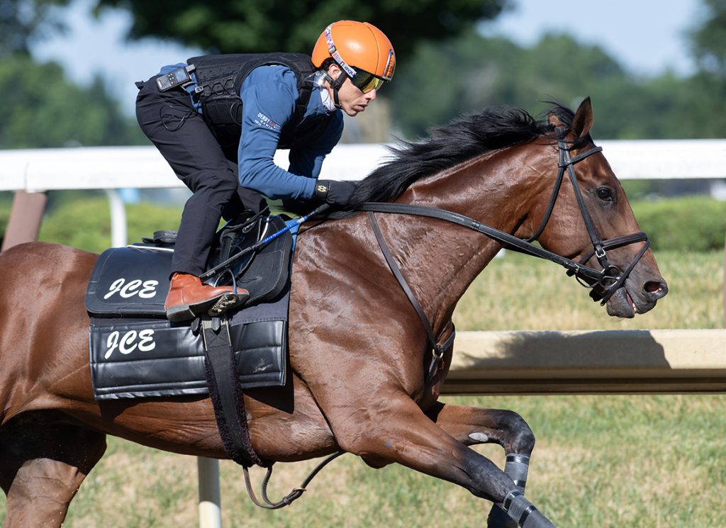 Mo Plex works at the Spa