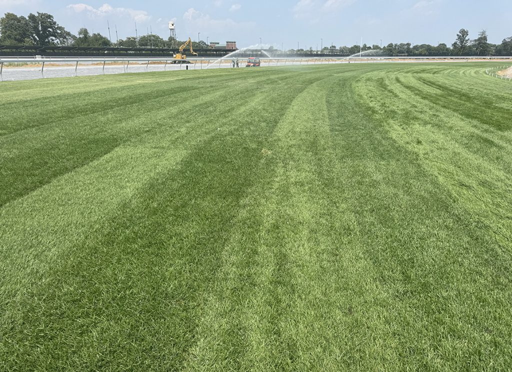 the new inner turf course at Belmont Park