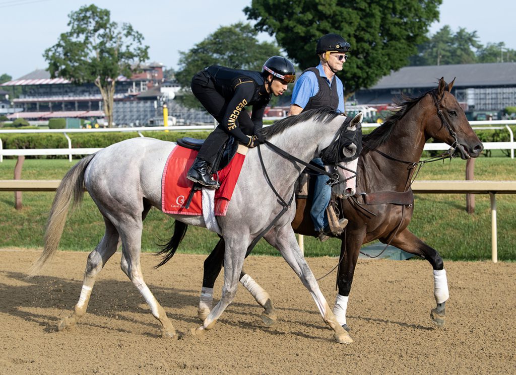 Sandman at Saratoga